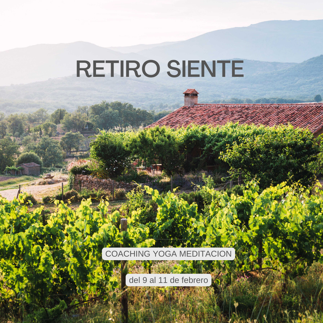 Retiro de yoga y meditación en la naturaleza
